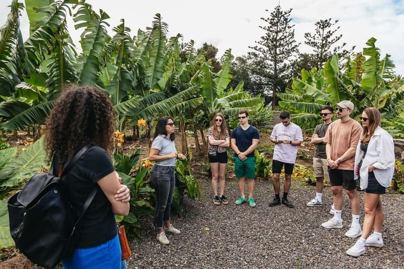 La Orotava: Eco Banana Plantation Tour with Banana Liquor - Should you book? My honest take