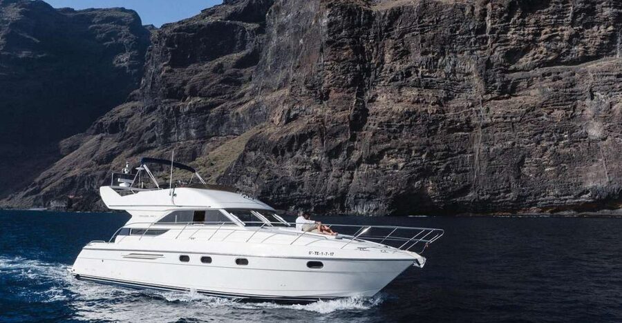 Las Galletas: Private Luxury Yacht Cruise with Lunch - Whale and dolphin spotting on open water, with real chances to see them