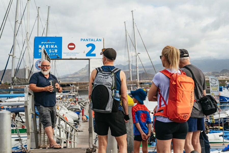 Las Galletas: Whale & Dolphin Tour with Local Skipper - Key things I’d highlight before you go