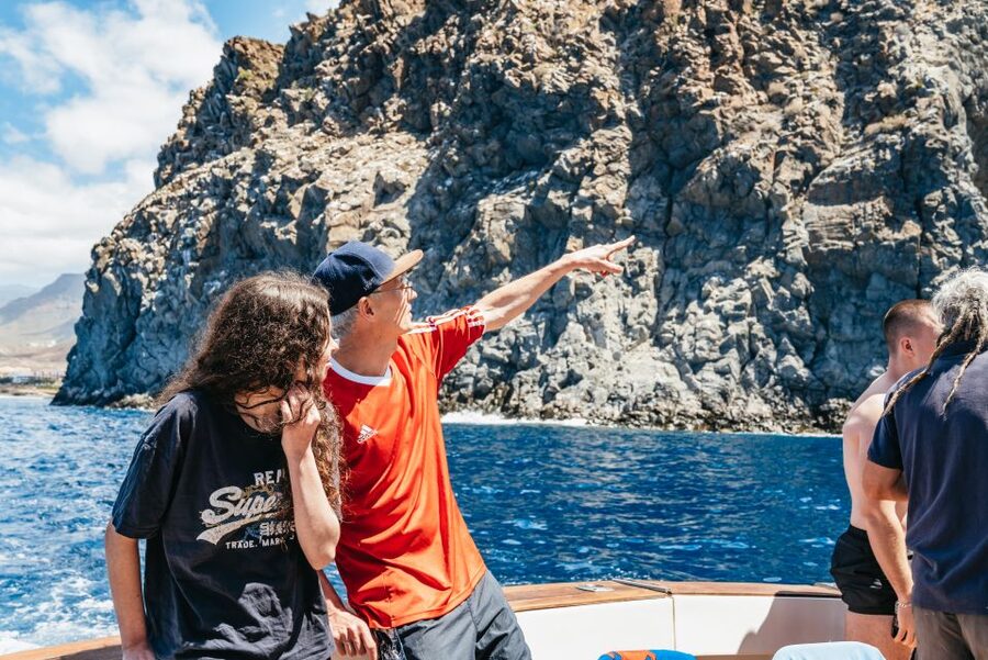 Las Galletas: Whale & Dolphin Tour with Local Skipper - Cruz del Sur in Las Galletas: why this yacht-style setup feels better than big boats