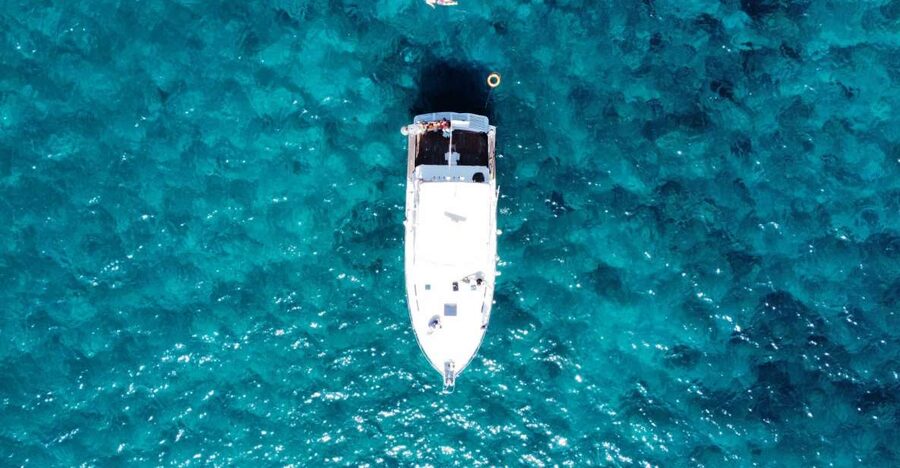 Las Galletas: Whale & Dolphin Tour with Local Skipper - Homemade lunch on board: local flavors, included drinks, and how it changes the tone