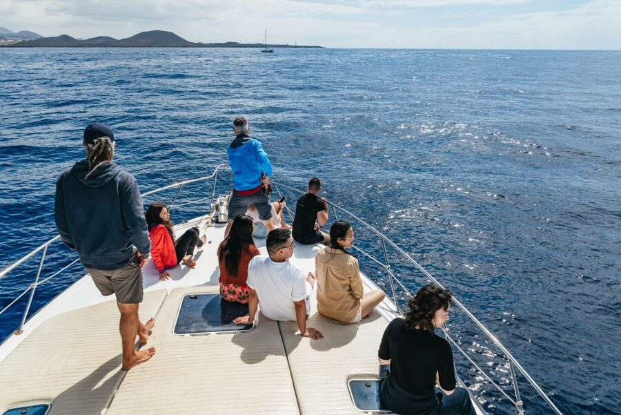 Las Galletas: Whale & Dolphin Tour with Local Skipper - Sailing back past Punta de Rasca: the quieter beauty on the return