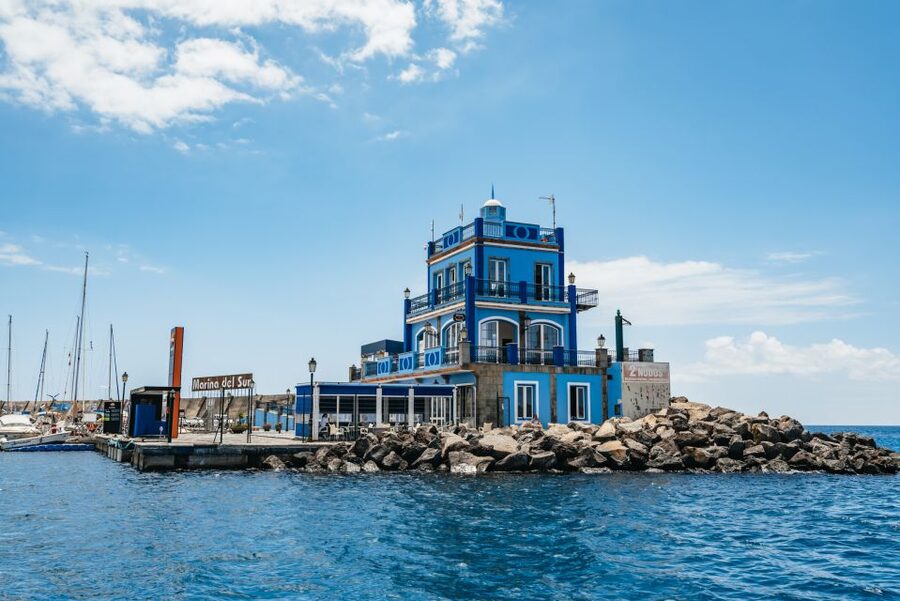 Las Galletas: Whale & Dolphin Tour with Local Skipper - Price and value for $69: what you really get, and who it suits