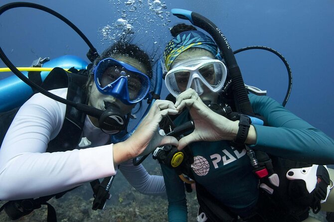 Learn Scuba Diving in Tenerife with Photos Included - Weather, timing, and how to keep the experience smooth