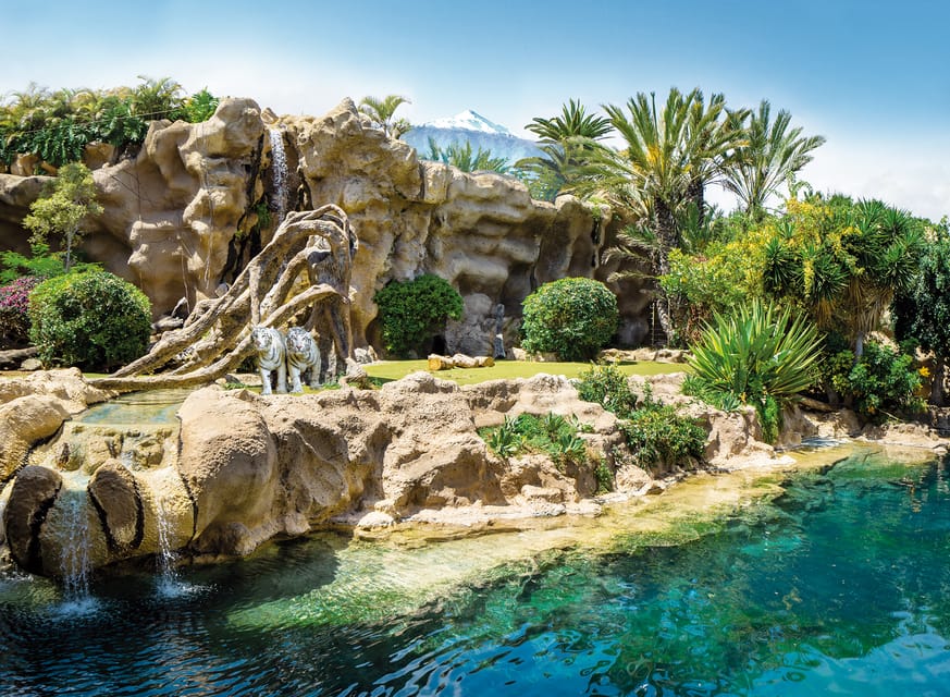 Loro Parque and Siam Park Combined Admission Tickets - Food, Drinks, and What to Pack So You Enjoy Both Days