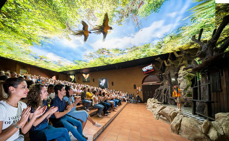 Loro Parque and Siam Park Combined Admission Tickets - Price and Value: Is $92 a Good Deal for Two Big Parks?