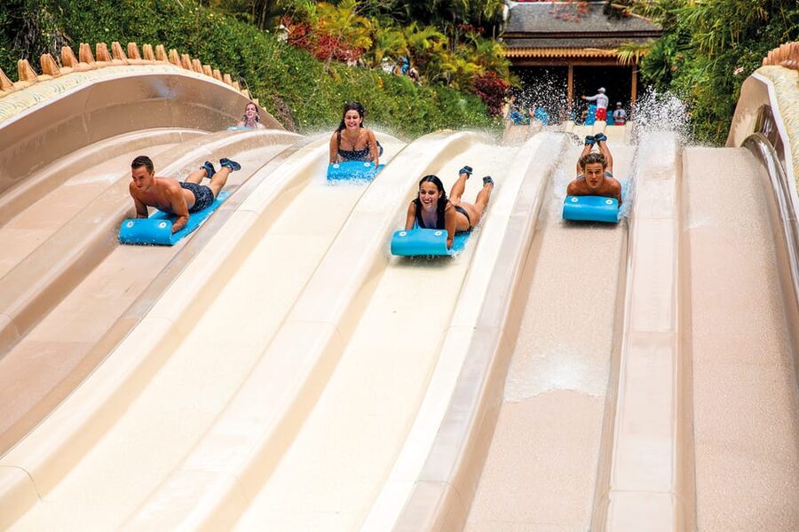 Loro Parque and Siam Park Combined Admission Tickets - Loro Parque Day: Orcas, Penguins, and Kinderlandia for Families