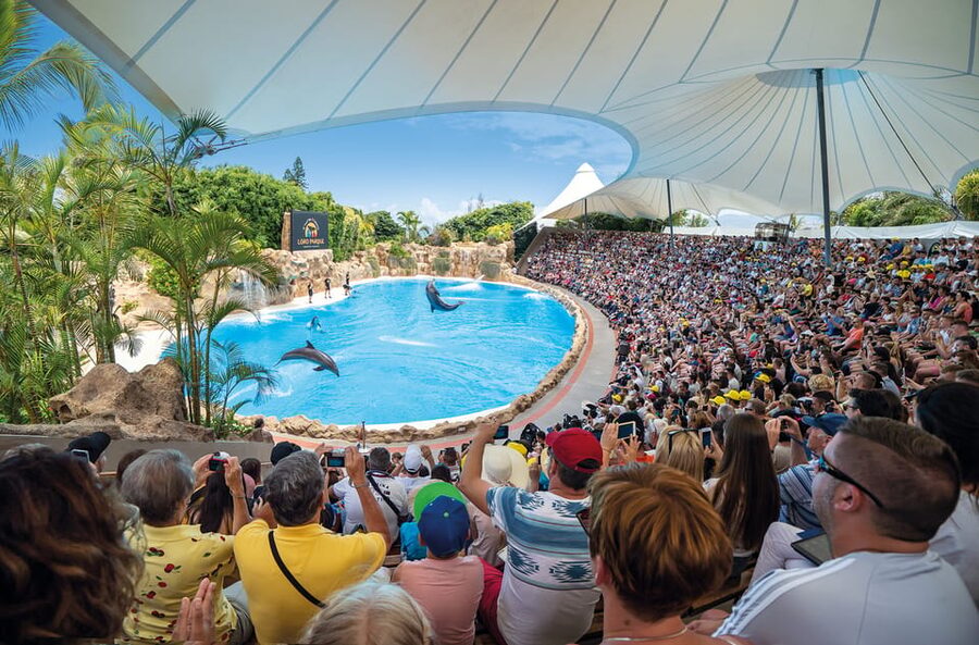 Loro Parque and Siam Park Combined Admission Tickets - Siam Park Day: The Water Kingdom and the Slides That Everyone Talks About