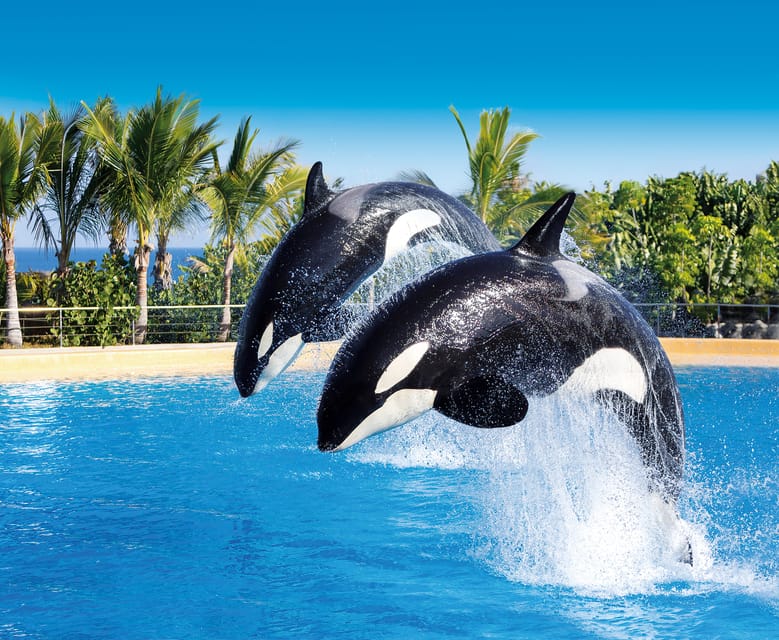 Loro Parque and Siam Park Combined Admission Tickets - Two Parks, Two Sides of Tenerife: The Real Logistics You Must Plan