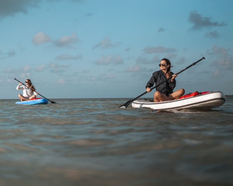 Los Cristianos : 1 Hour of Paddle surf Rental - Your on-water hour: paddling corners, bay views, and marine life