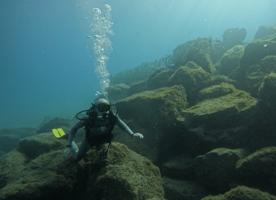 Los Cristianos: Basic Diver Course - Who should book this course, and who should choose differently