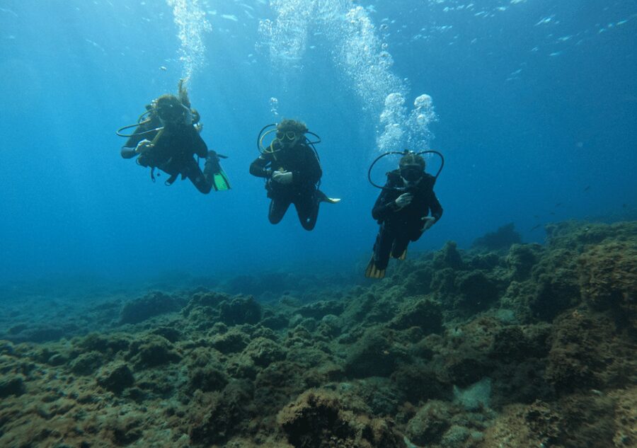 Los Cristianos: Basic Diver Course - Your two lessons: from shallow water basics to open-water confidence