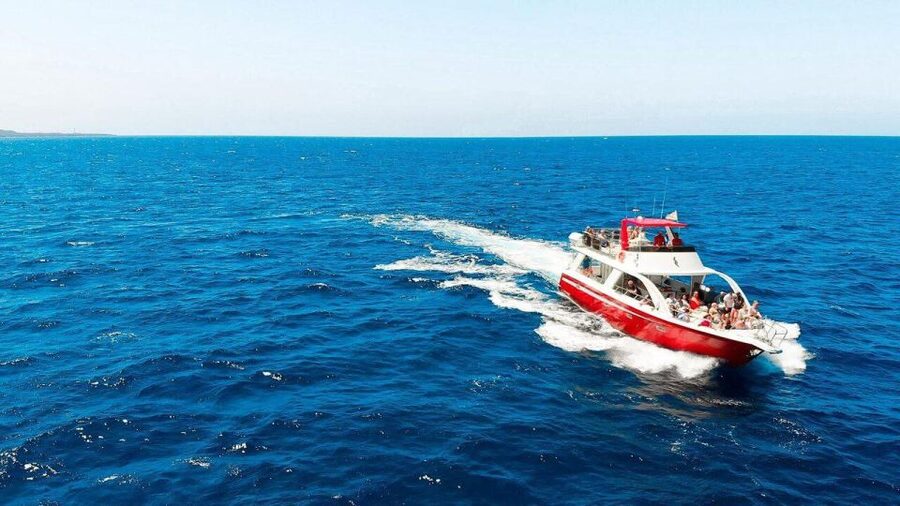 Los Cristianos: Eco Yacht Whale Watching Tour at Sunset - Why This 90-Minute Sunset Trip Works in Los Cristianos
