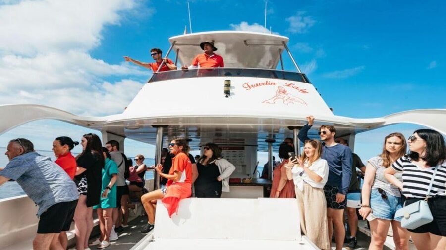 Los Cristianos: Eco Yacht Whale Watching Tour at Sunset - On the Water: How the Route Gets You Wildlife and Sunset