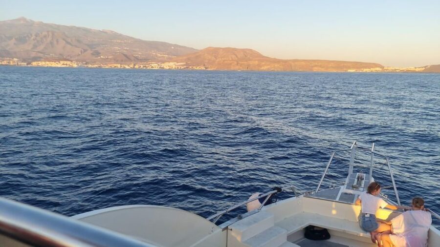 Los Cristianos: Eco Yacht Whale Watching Tour at Sunset - Comfort, Bar Drinks, and the Seasickness Reality Check
