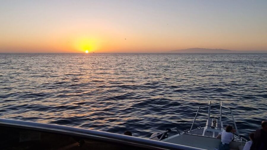 Los Cristianos: Eco Yacht Whale Watching Tour at Sunset - Price and Value: Getting a Premium Feel for About $17
