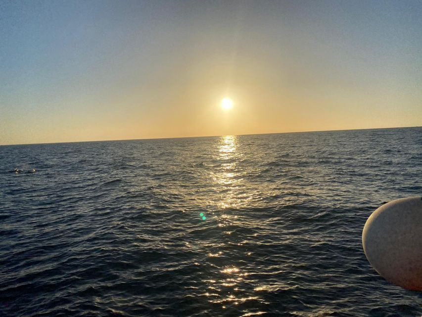 Los Cristianos: Eco Yacht Whale Watching Tour at Sunset - Who Should Book This Sunset Whale Watch, and Who Should Skip It