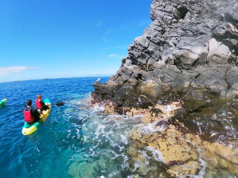 Los Cristianos: Kayak and Snorkel with Turtles and Photos - Stop-by-stop: what happens during the 3 hours