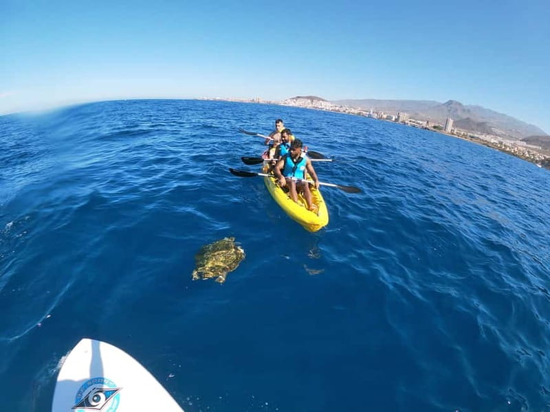 Los Cristianos: Kayak and Snorkel with Turtles and Photos - Photos and videos: this is real value, not a gimmick