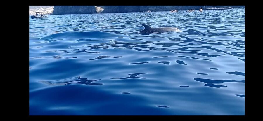Los Cristianos: Kayak & Snorkel Tour with turtles and photos included - Meeting at El Carmen 4, then a quick shuffle to the beach