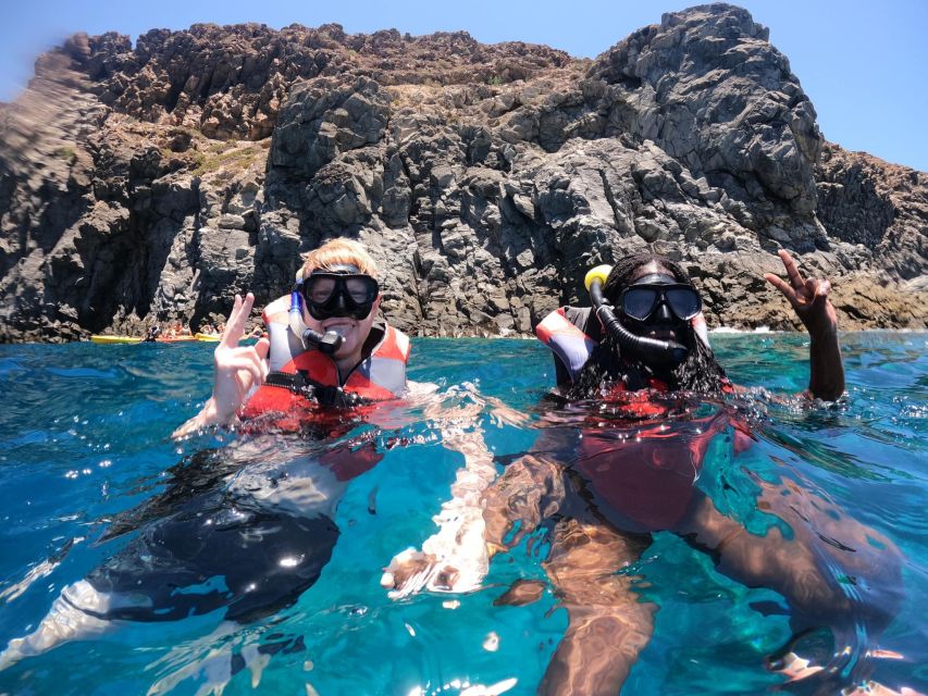 Los Cristianos: Kayaking and Snorkeling with Marine Wildlife - Snorkeling in Palm-Mar: how wildlife spotting usually plays out