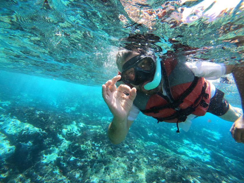 Los Cristianos: Kayaking and Snorkeling with Marine Wildlife - Guides, language, and the difference good coaching makes