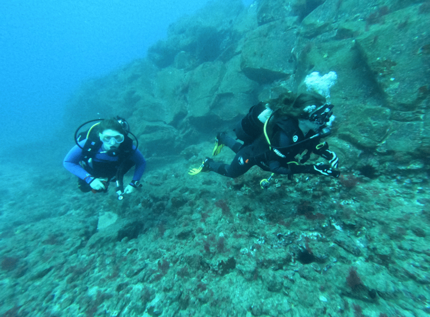 Los Cristianos: Try Dive for beginners - Your 3-hour session, step by step (and what you will likely feel)