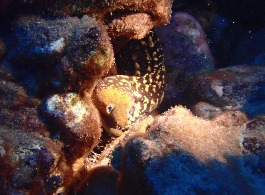 Los Cristianos: Try Dive for beginners - Who this try scuba is for, and who should skip it