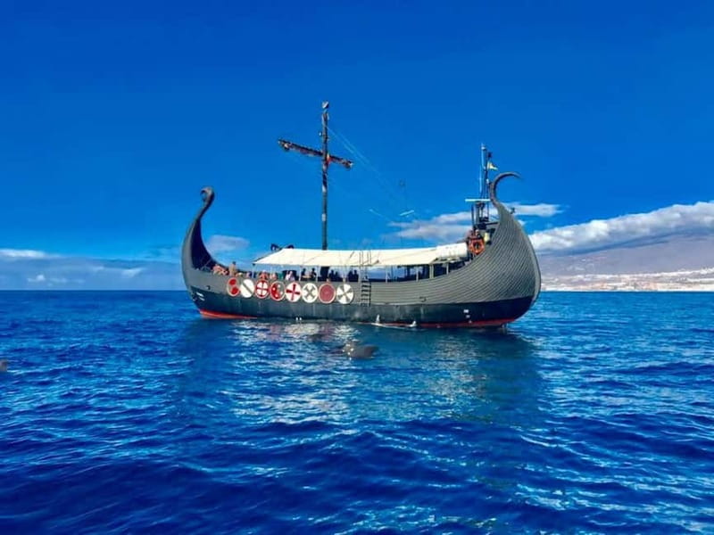 Los Cristianos: Viking Cruise Whales & Dolphins Watching - Key things to know before you go