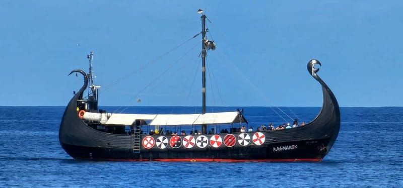 Los Cristianos: Viking Cruise Whales & Dolphins Watching - Snacks, Drinks, and the Viking Photos You Might Want