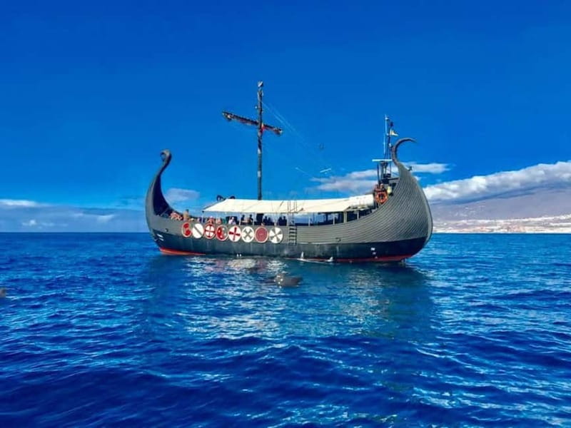 Los Cristianos: Whale Watching Cruise w/Swim Stop & Drinks - A Viking Ship Day at Sea from Los Cristianos