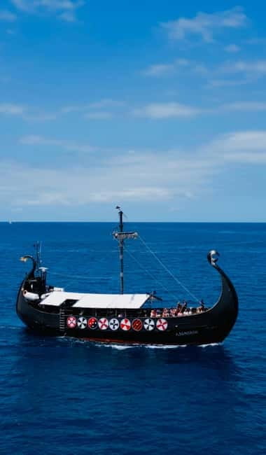 Los Cristianos: Whale Watching Cruise w/Swim Stop & Drinks - Whales and dolphins: when the wild show starts