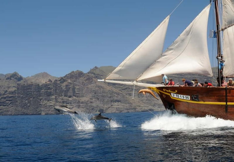 Los Gigantes: Dolphin and Whale Watching Tour with Drinks - Cruising Past the Cliffs of Masca and Los Gigantes