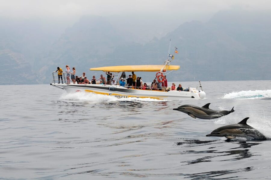 Los Gigantes: Dolphin & Whale Watching Cruise with Swim Stop - Los Gigantes and Teno-Rasca: Why this short cruise feels like a big win