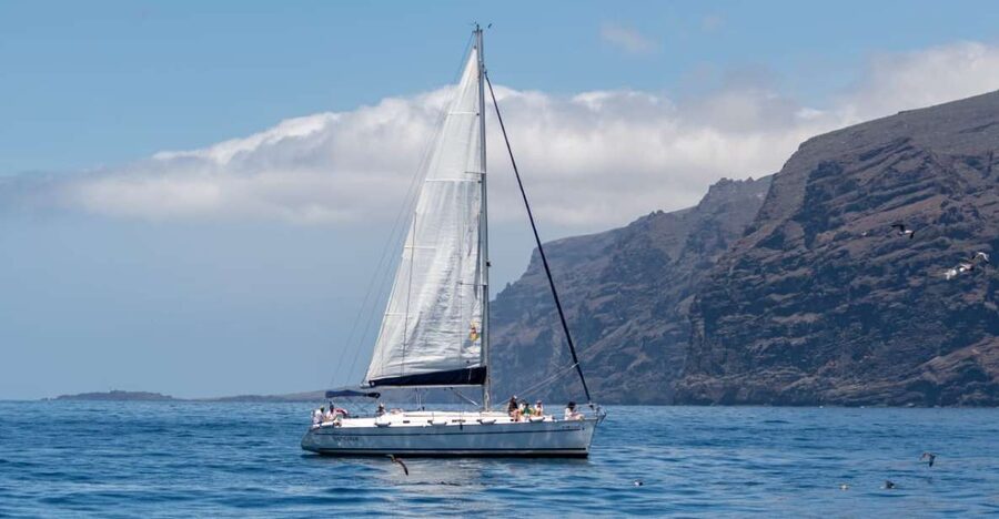 Los Gigantes: Sailing Excursion with Swimming, Drink & Tapas - Key highlights to look for on this Los Gigantes sailing trip