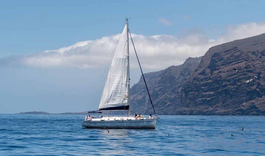 Los Gigantes: Sailing Excursion with Swimming, Drink & Tapas - The 3 hour flow: what happens from leaving port to tapas time