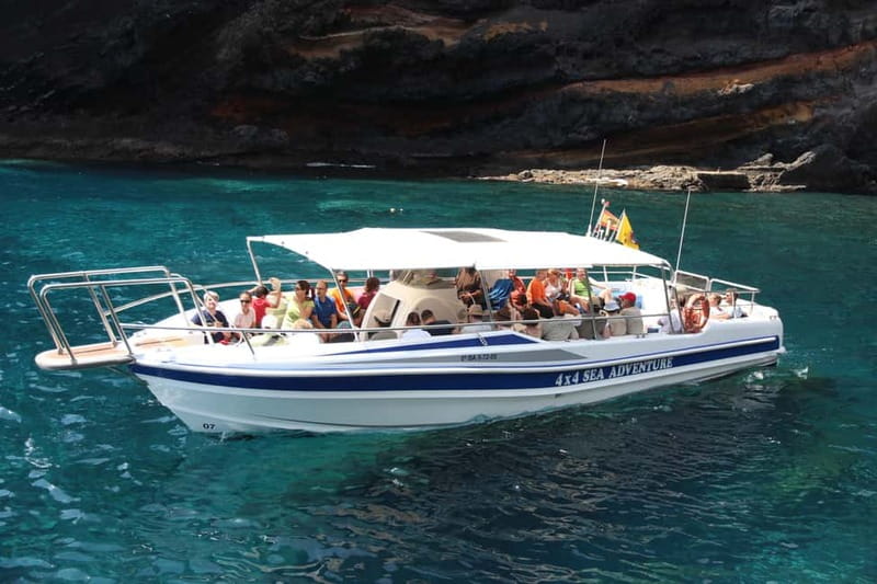 Los Gigantes: Whale or dolphin watching and swimming tour in Masca - Key things I’d circle before you book