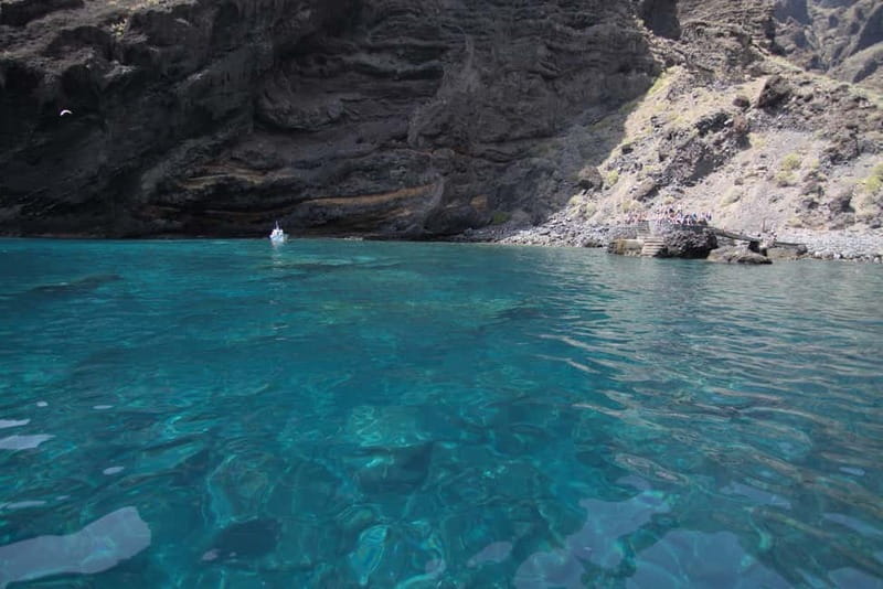 Los Gigantes: Whale or dolphin watching and swimming tour in Masca - Crew, insurance, and the included cold drink