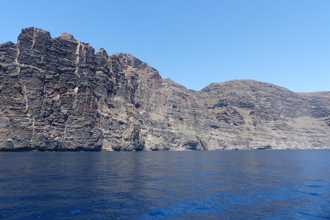 Los Gigantes Whale Watching Charter by Sail Boat - Whale watching off Tenerife: what you’re really buying with this charter