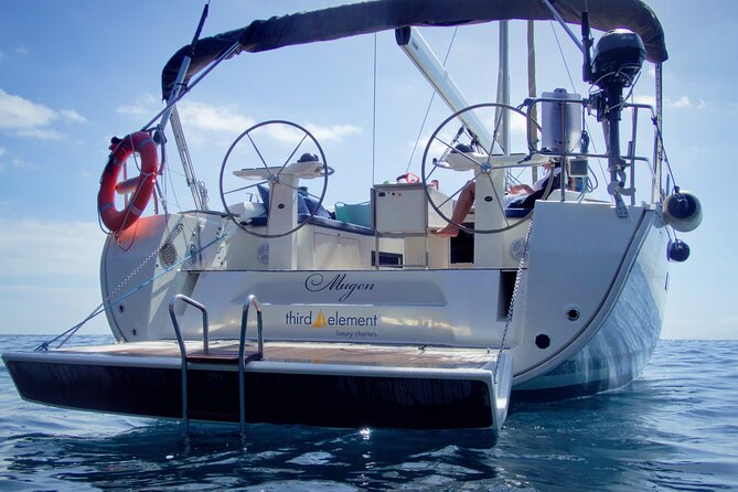 Los Gigantes Whale Watching Charter by Sail Boat - The snorkeling and swimming stop: the secret sauce for many first-timers