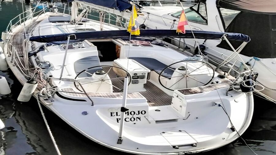 Los Gigantes: Whales and Dolphin Watching Cruise with Lunch - Should You Book This Los Gigantes Whale and Dolphin Cruise?