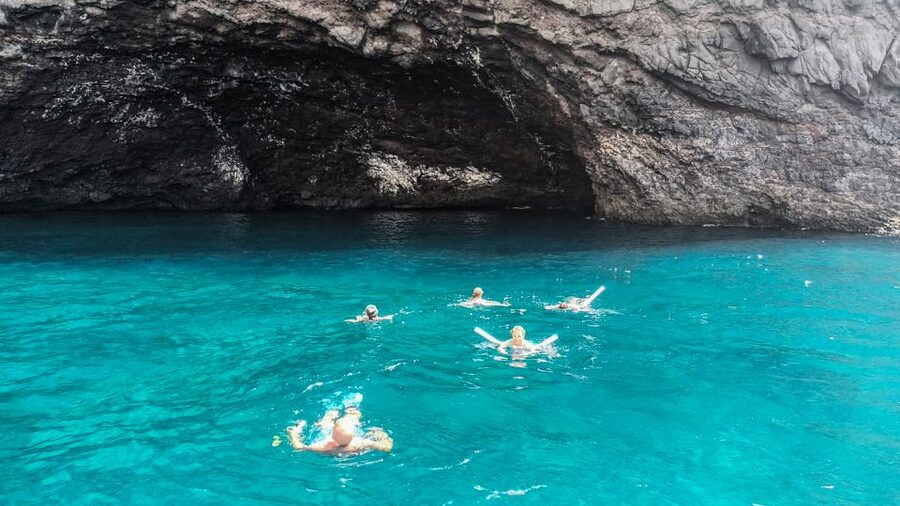 Los Gigantes: Whales and Dolphin Watching Cruise with Lunch - Lunch and Drinks on Board: What “Included” Really Feels Like
