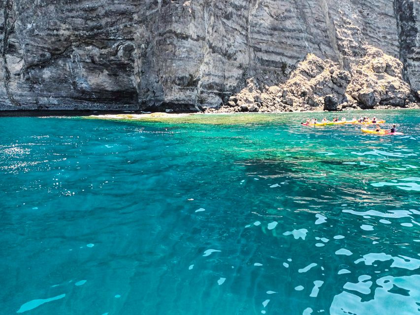 Los Gigantes: Whales and Dolphin Watching Cruise with Lunch - How Long Is It, and Will You Feel Rushed?