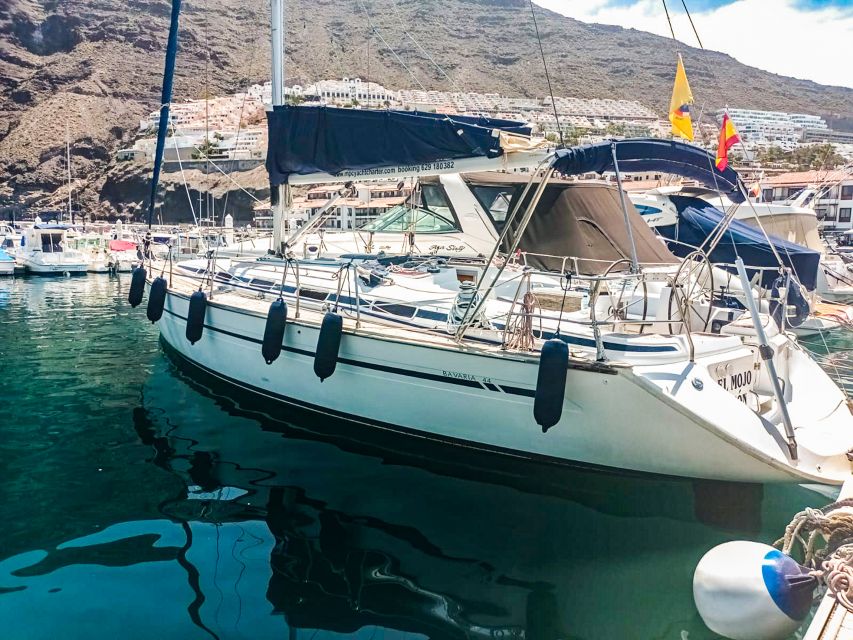 Los Gigantes: Whales and Dolphin Watching Cruise with Lunch - Who This Cruise Suits Best