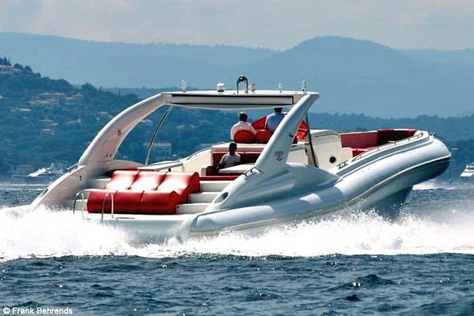 Luxury Opera 60 Whale & Dolphin Watching Experience - From Puerto Colón Out on the Water: Timing and First Sightings