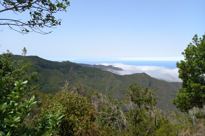 Masca from above - Walking Through Teno: Rain Forest, Pine Woods, and Masca Gorge Outlooks