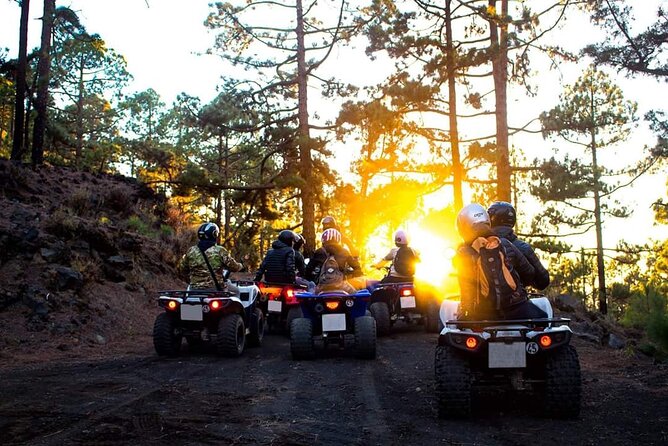 Masca Valley Guided Buggy Tour. Small Group. - Serpentine roads and the photo payoff