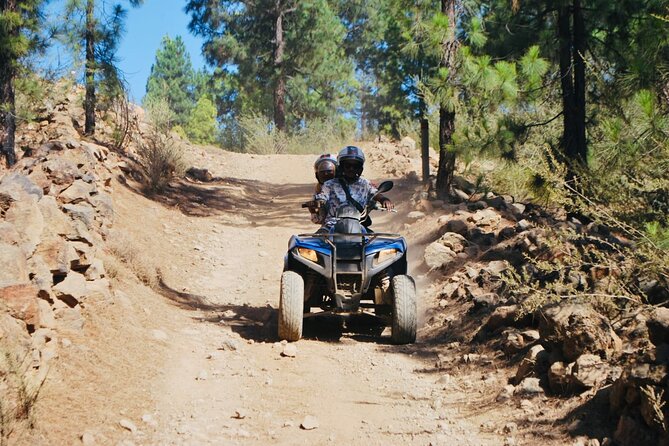 Masca Valley Guided Buggy Tour. Small Group. - Time, group size, and the small-group vibe