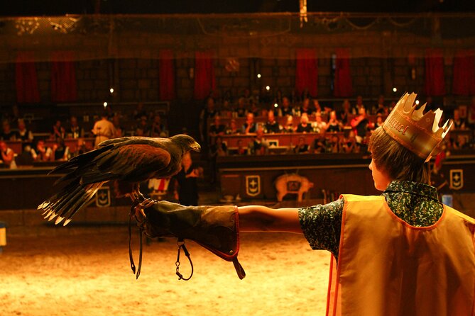 Medieval San Miguel castle with dinner-Show in South Tenerife - Organization on arrival: where the experience can feel smooth or chaotic