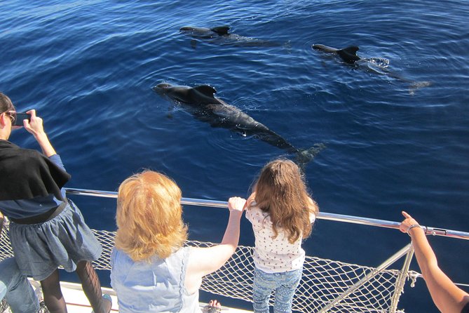 Most Famous Catamaran in Tenerife Island (2 hours and 3 hours tours) - Who This Trip Suits Best (And Who Might Skip It)